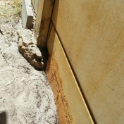 Gallery Image Number 5