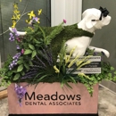 MEADOWS DENTAL ASSOICATES DMD - Dental Equipment & Supplies