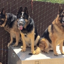 AAA Guard Dog Rental & Sales - Dog Training