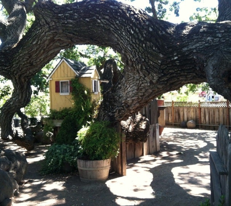 Alden Lane Nursery - Livermore, CA