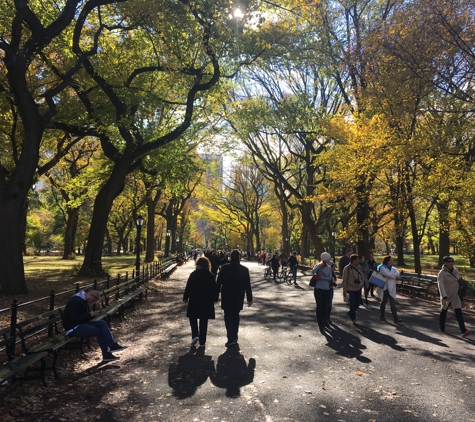 Dvali Photography LLC - Brooklyn, NY. NYC Central Park Tour