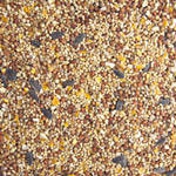 Gallery Image Number 7