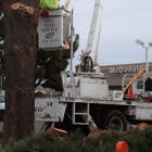 Central City Tree & Landscape Services