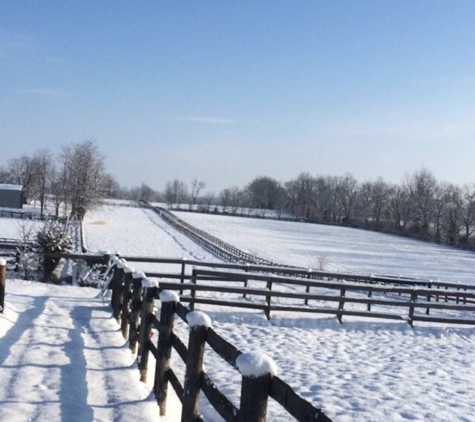 Thoroughbred Center - Lexington, KY