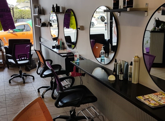 Hair Studio 487 - Brighton, SA