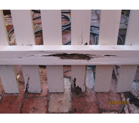 Metro Pest Control - North Perth, WA