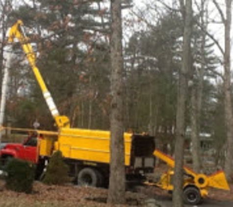 Nordmarks Tree Service - Sciota, PA