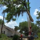 Valdosta Tree Service LLC