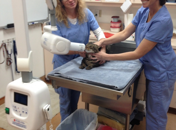 Mt Bachelor Veterinary Hospital - Bend, OR