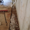 Illiana Basement Waterproofing and Foundation Support gallery