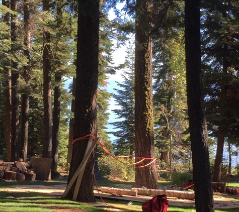 A & E Arborists Tree Care - Yuba City, CA