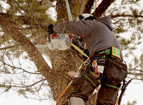 Treeman Services Inc. - Hopewell Junction, NY