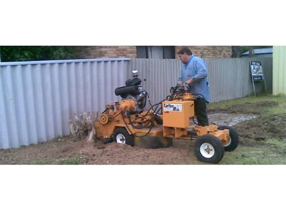 Maddington Tree Service - Maddington, WA