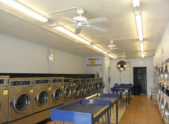 Suncoast Laundromats - Saint Petersburg, FL