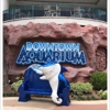The Downtown Aquarium gallery