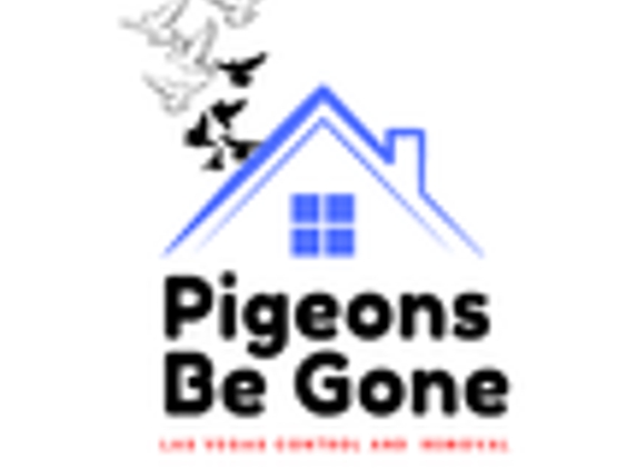 Pigeons Be Gone - North Las Vegas, NV