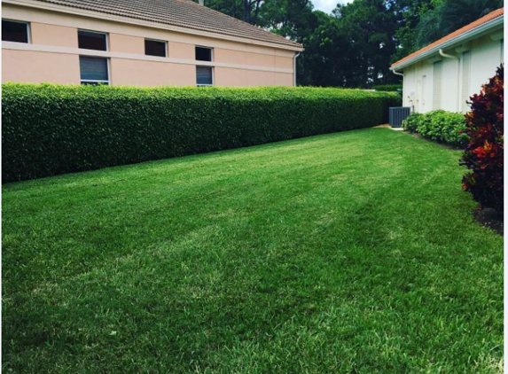 G.N. Lawn and Landscaping Service - Bonita Springs, FL