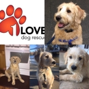 1 Love Dog Rescue - Dog & Cat Furnishings & Supplies
