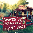 Amaze'n Jackson Hole - Amusement Places & Arcades