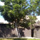 Care Tree Lawn and Tree Service - Landscaping & Lawn Services