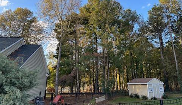 AGLA Tree Services - Mount Holli, NC