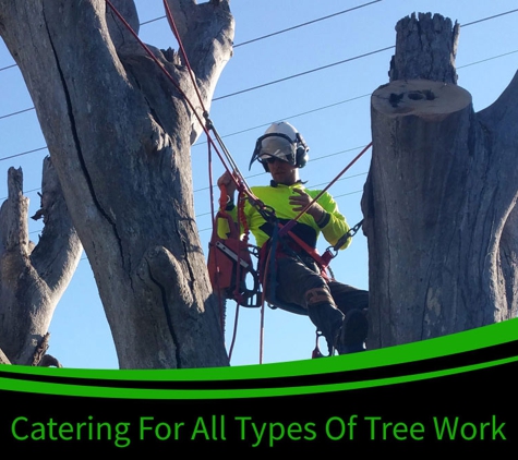 Bell's Tree Service - Oxley Vale, NSW. Catering For All Types of Tree Works