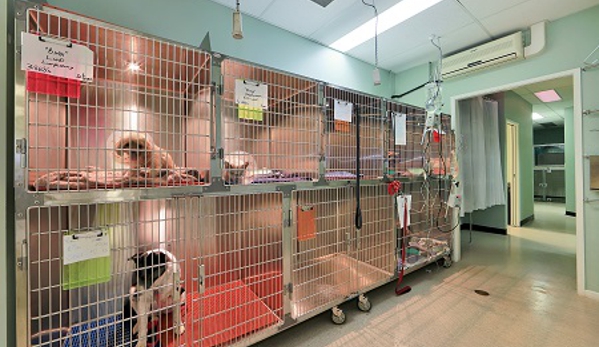North Bundaberg Vet Surgery - Bundaberg North, QLD