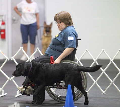 Dog Zone Training & Activity Center - New Baltimore, MI