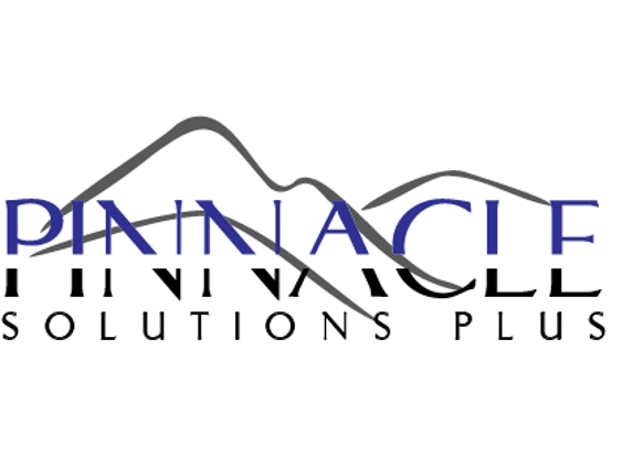 Pinnacle Solutions Plus: Merchant Services + Reputation Management - Peachtree Corners, GA