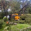 Martel Crane Service & Tree Removal - Tree Service