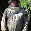 Big Cypress Critter Removal Company - Bee Control & Removal Service