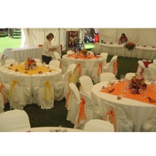 Gallery Image Number 2