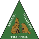 Animal Wildlife Trapping - Animal Removal Services