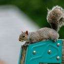 Superior Pest Management - Pest Control Equipment & Supplies