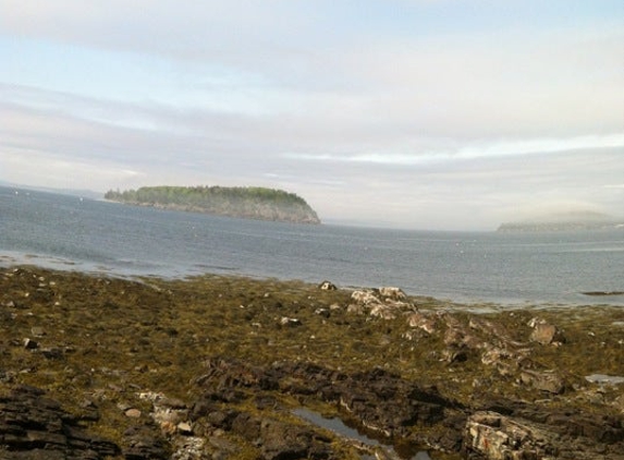 National Park Sea Kayak Tours - Bar Harbor, ME