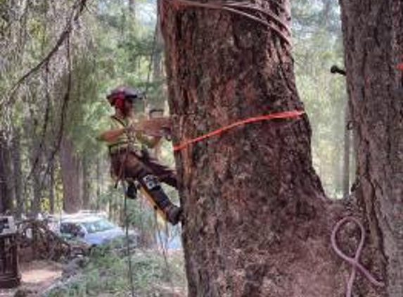 About Trees - Redding, CA