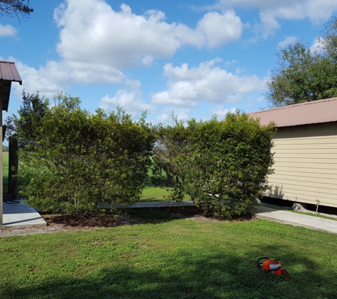 Pro Cut Lawn Care LLC - Sebring, FL