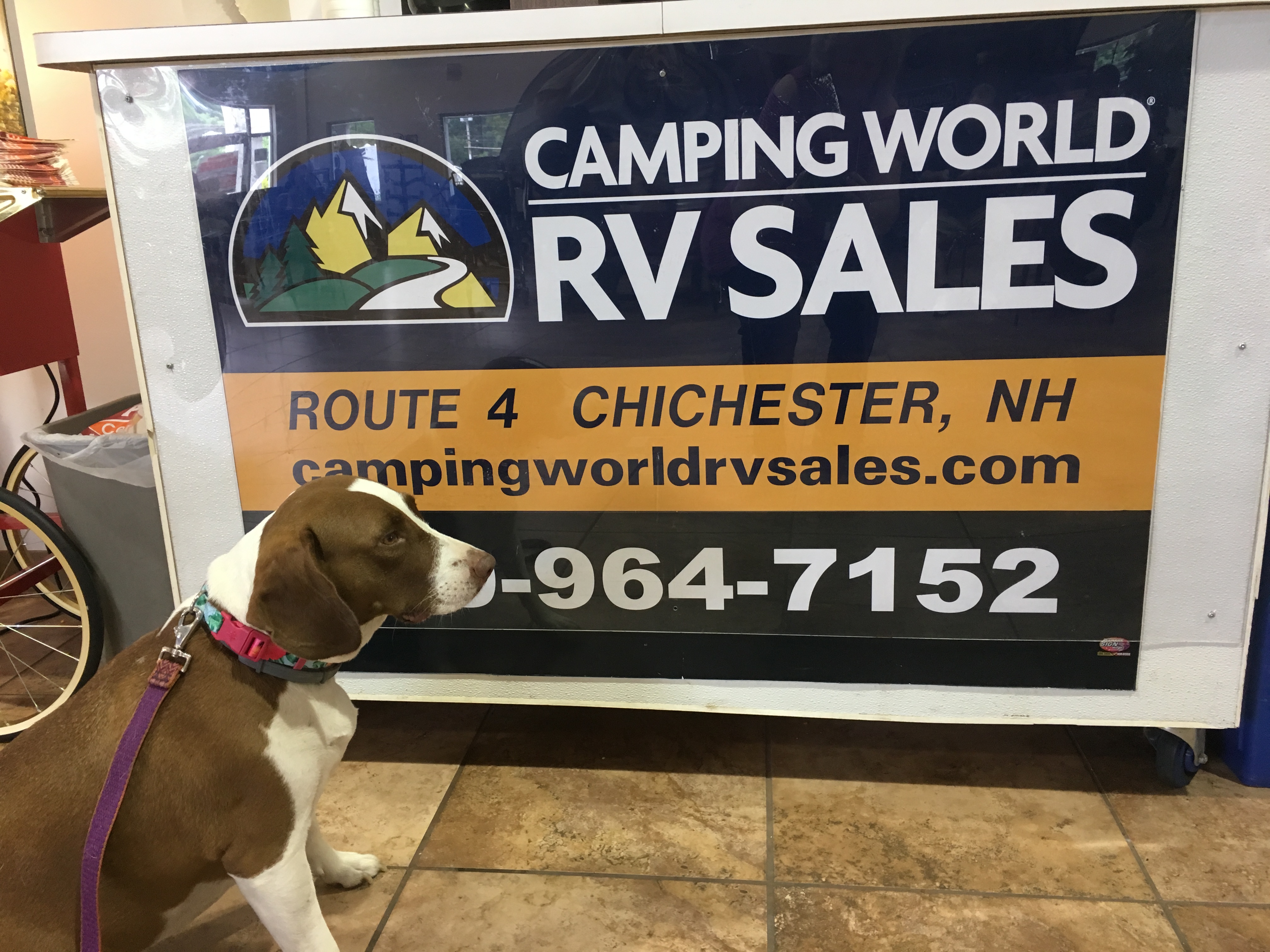 Camping World 165 Dover Rd, Chichester, NH 03258 - YP.com