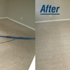 ProTech Carpet Care gallery