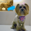 Cuts 4 Mutts Dog Grooming - Pet Services