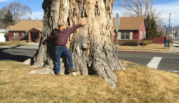 Russell's Artistry in Trees - Reno, NV