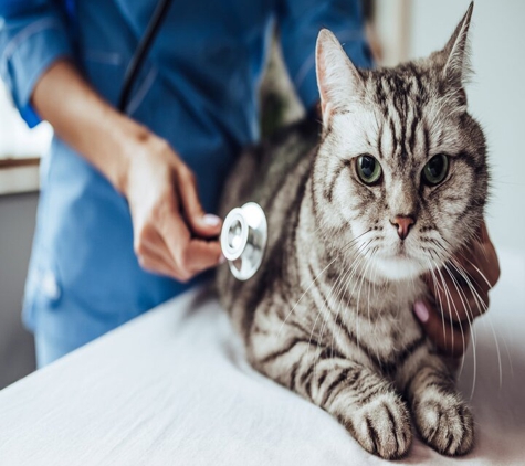 Animal Health Center - Shreveport, LA