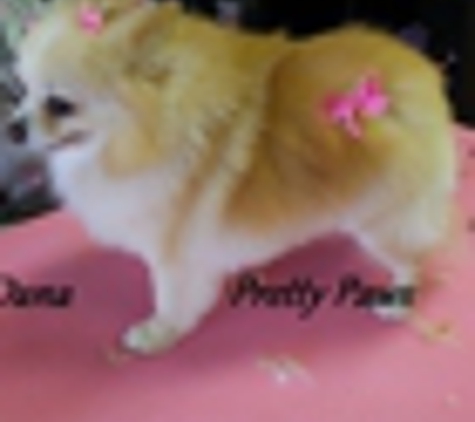 Pretty Paws Pet Grooming - Las Vegas, NV