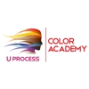 UProcess Color Academy gallery