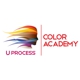 UProcess Color Academy