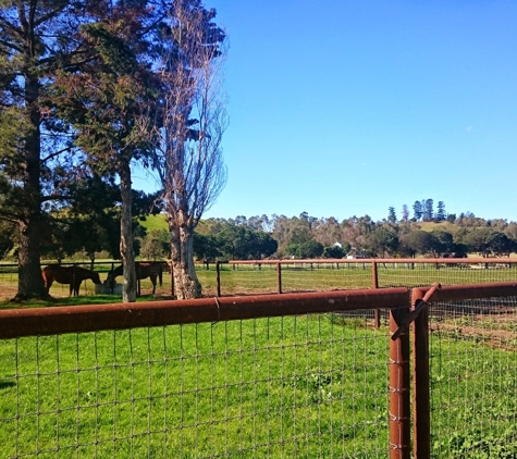 Meadow Creek Farm - San Luis Obispo, CA