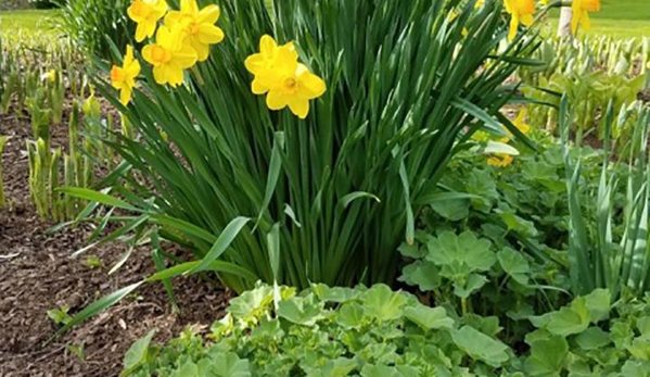 Shady Acres Perennial Nursery - New Berlin, WI