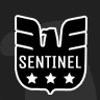 Sentinel Security & Investigations Inc. gallery