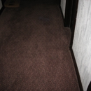 Color Spot Carpet - Carpet & Rug Dyers