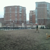 Dog Run Park at Carlyle gallery